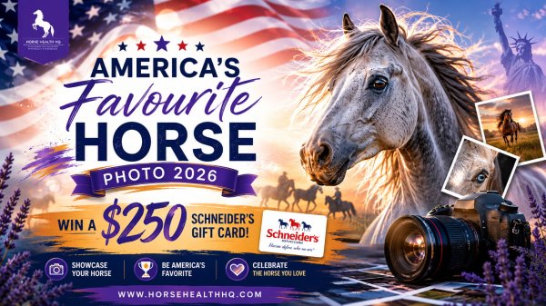 America's Favourite Horse Photo 2026 - Free Giveaway