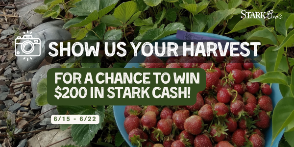 Harvest Photo Giveaway - Free Giveaway