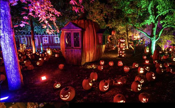 Win a 4-pack of tickets to Jack O' Lantern Experience at South Coast Botanic Garden - Free Giveaway