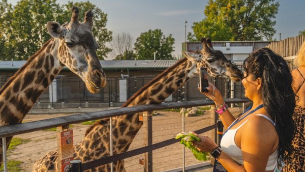 Toledo Zoo Prize Package - Free Giveaway