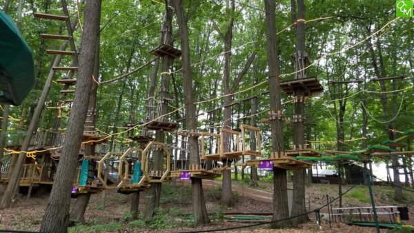 TreeRunner Adventure Park WB Tickets Contest - Free Giveaway