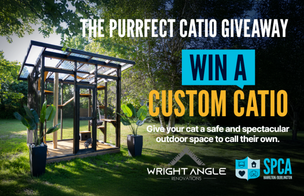 A One-of-a-Kind Retreat for Your One-of-a-Kind Cat - Free Giveaway