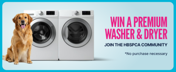 Contest period: March 2 to April 30, 2026 - Free Giveaway