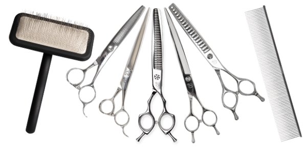 ULTIMATE NIIRA SET GIVEAWAY - Free Giveaway