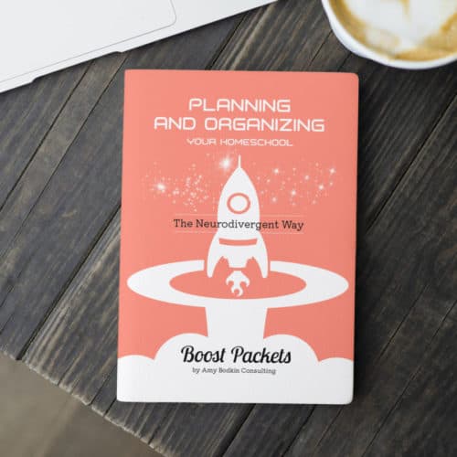 Planning, Organizing, and Documenting Your Homeschool: The Neurodivergent Way Boost Packet