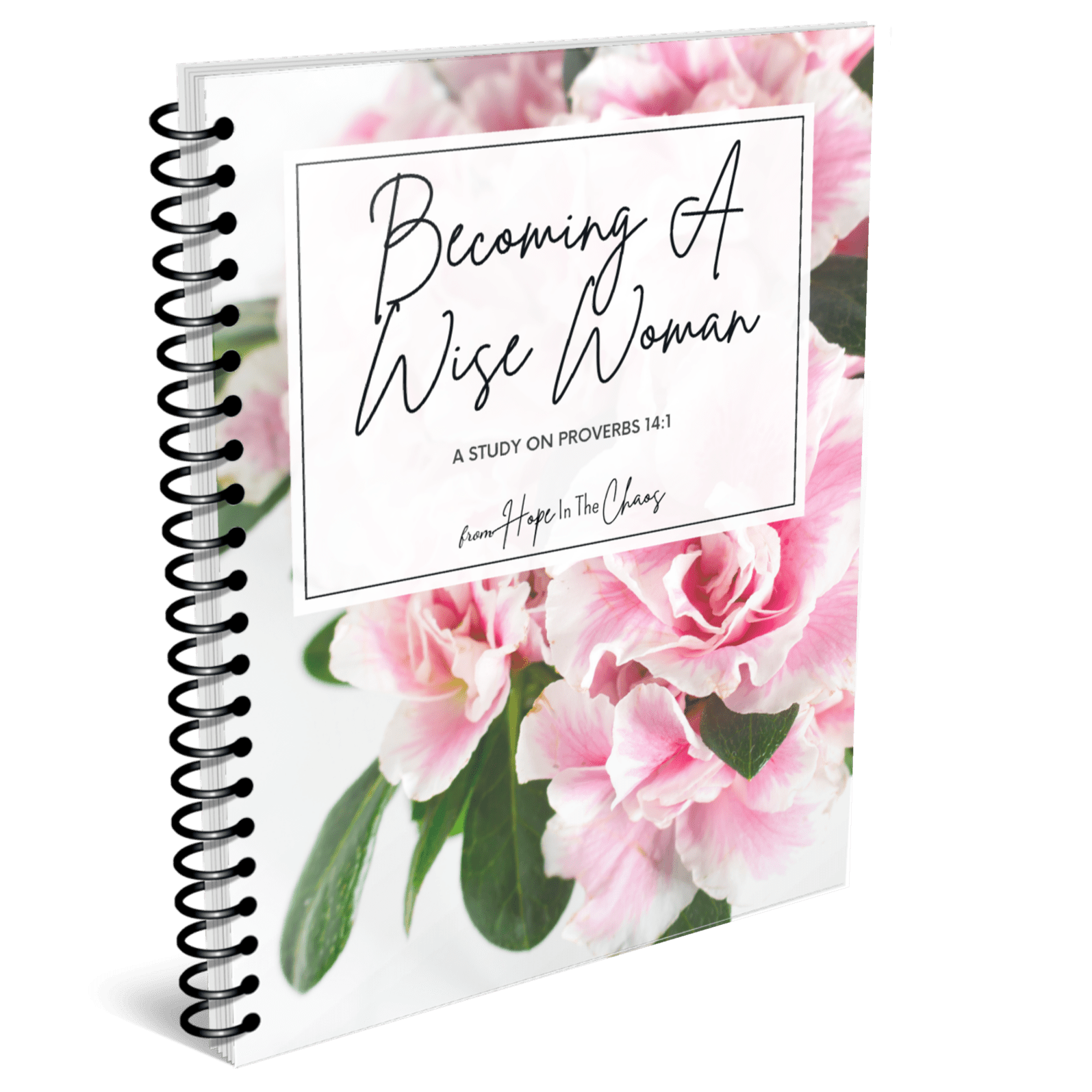 Becoming A Wise Woman Devotional & Bible Study of Proverbs 14