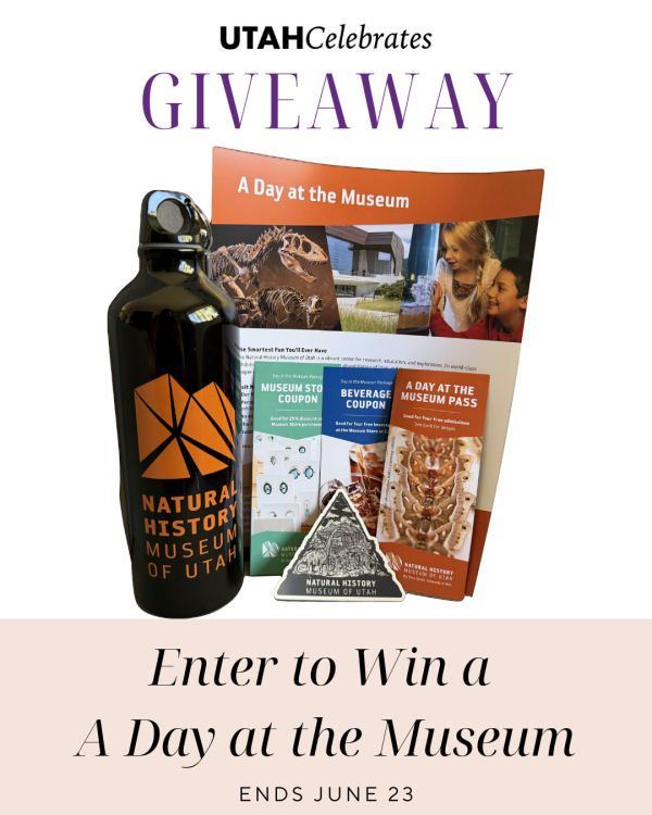 A DAY AT THE MUSEUM PACKAGE GIVEAWAY - Free Giveaway