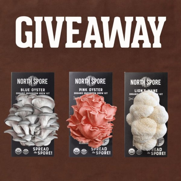 Our Mushroom Grow Kit GIVEAWAY!  - Free Giveaway