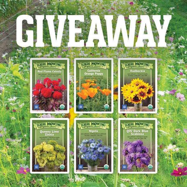 Our Pollinator Pride GIVEAWAY! - Free Giveaway