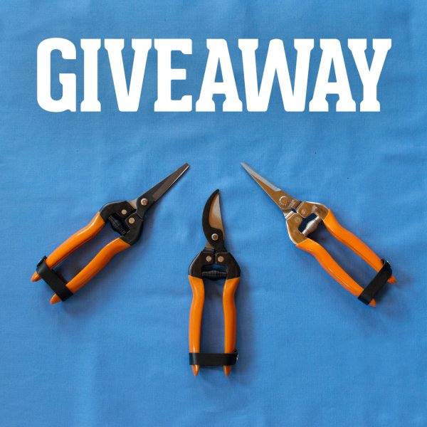 Our Harvesting Scissors GIVEAWAY! - Free Giveaway