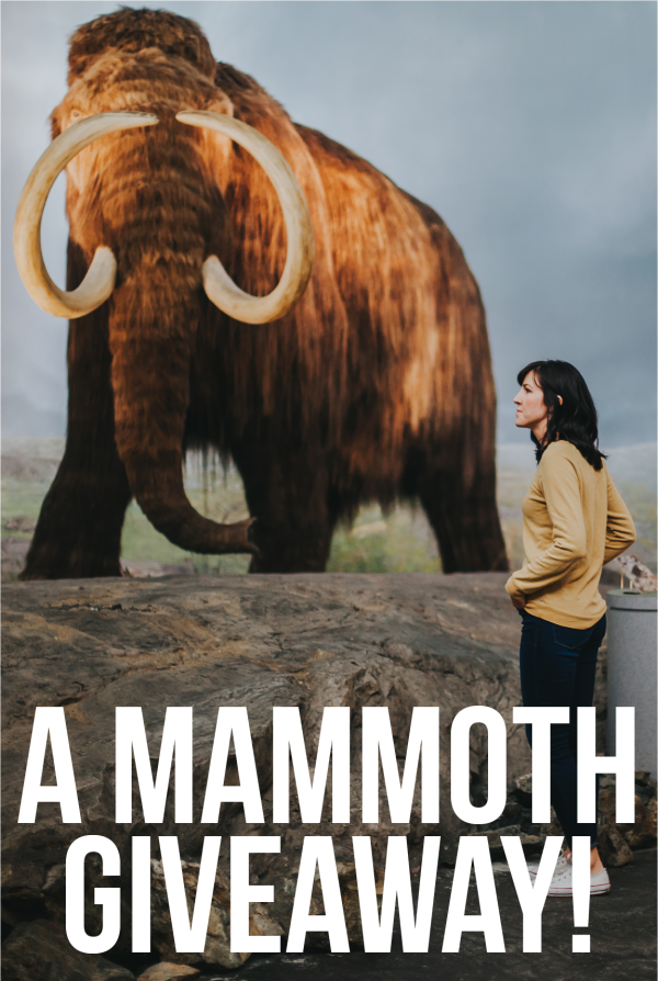A MAMMOTH GIVEAWAY - Free Giveaway