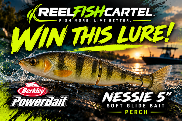 WIN A BERKLEY POWERBAIT NESSIE 5" GLIDE BAIT! - Free Giveaway